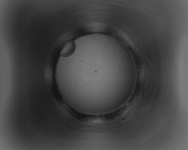 X0000100410643200806061343