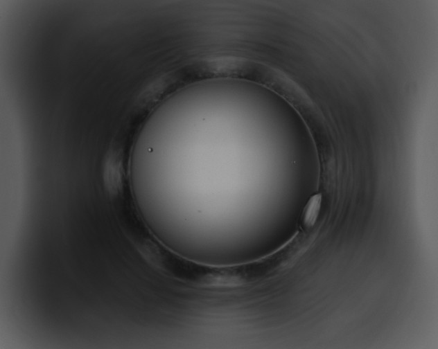 X0000100410644200806061343