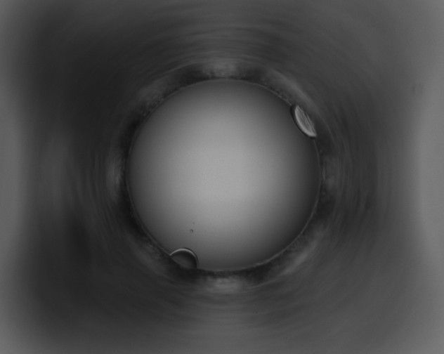 X0000100410645200806061343