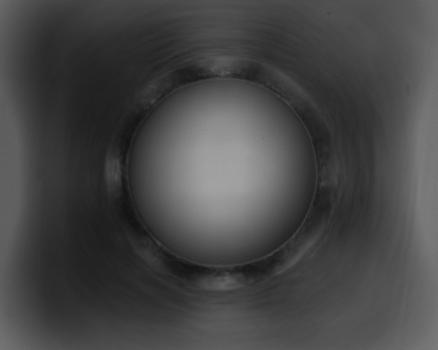 X0000100410646200806061343