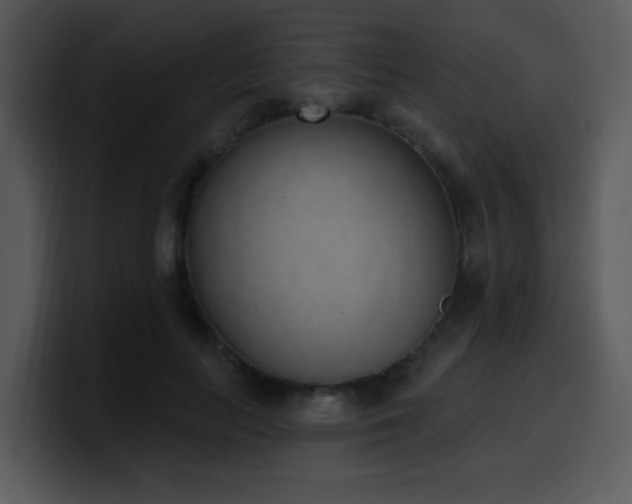 X0000100410647200806061343