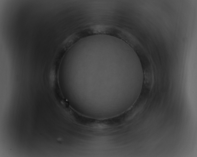 X0000100410648200806061343