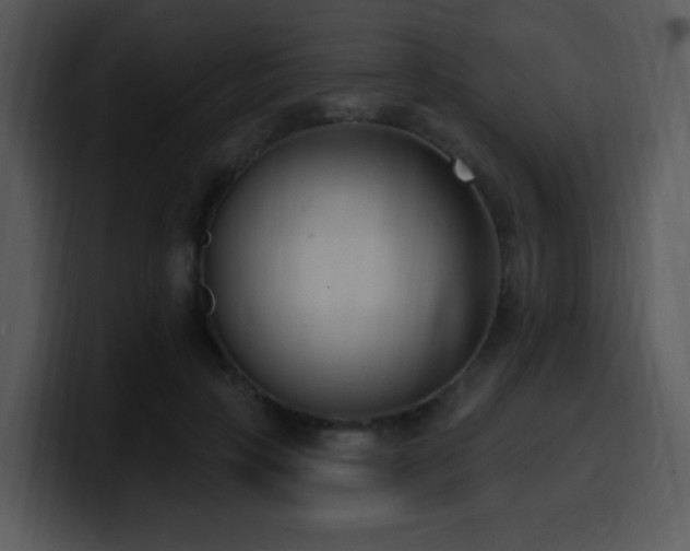 X0000100410649200806061343