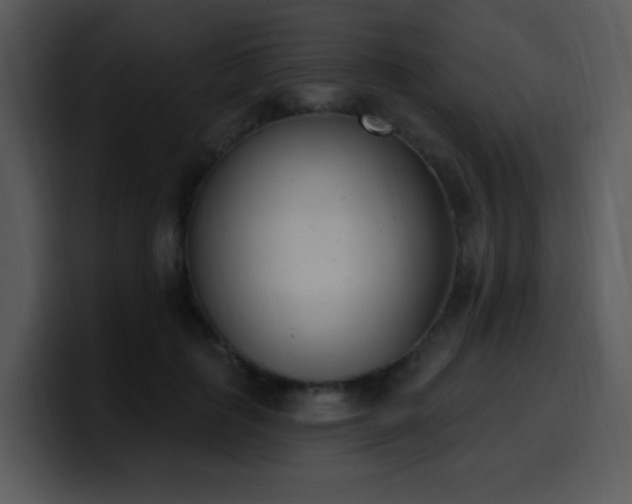 X0000100410651200806061343