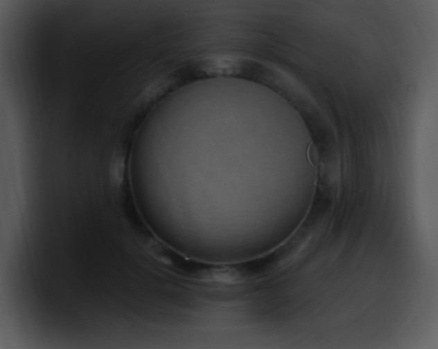 X0000100410652200806061343