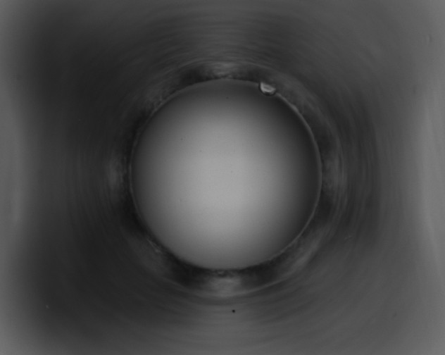 X0000100410653200806061343