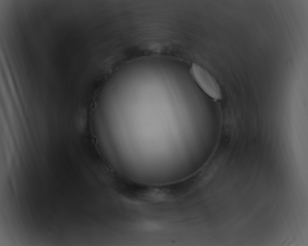 X0000100410656200806061343