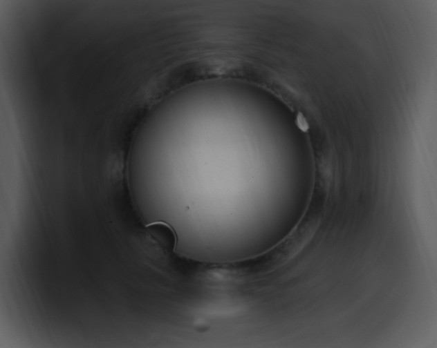 X0000100410657200806061343