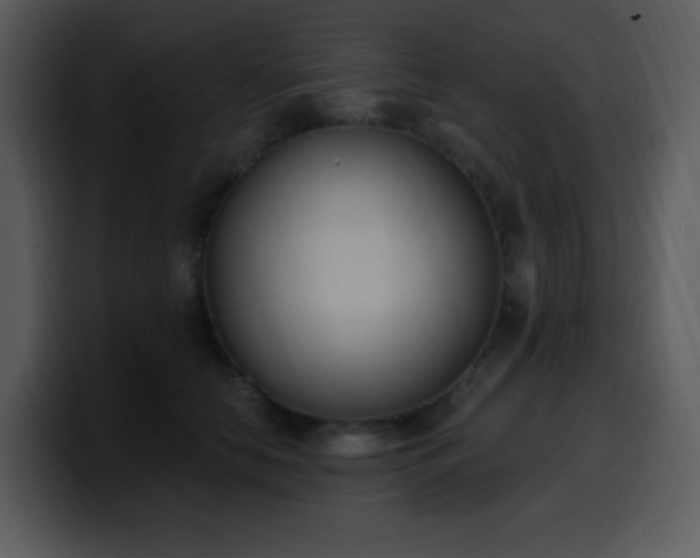 X0000100410658200806061343