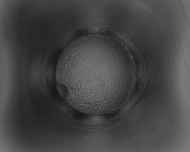 X0000100410659200806061343