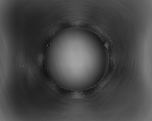 X0000100410660200806061343