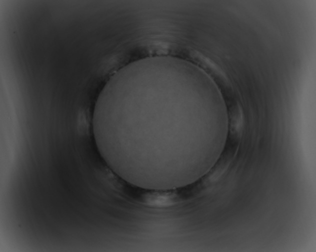 X0000100410661200806061343