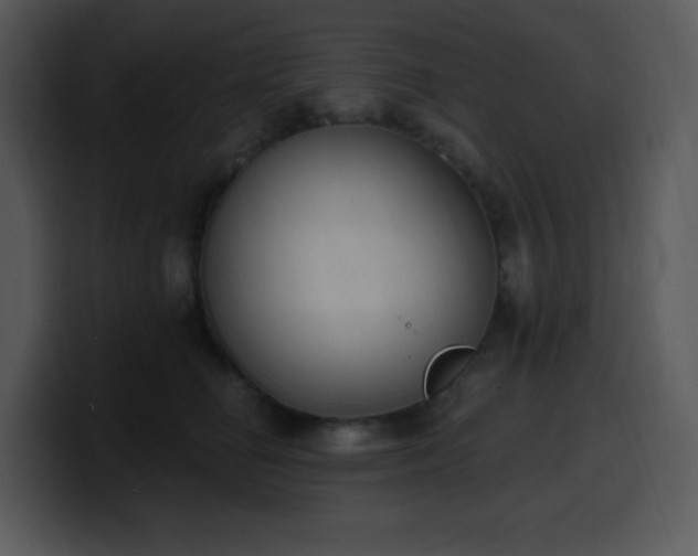 X0000100410662200806061343