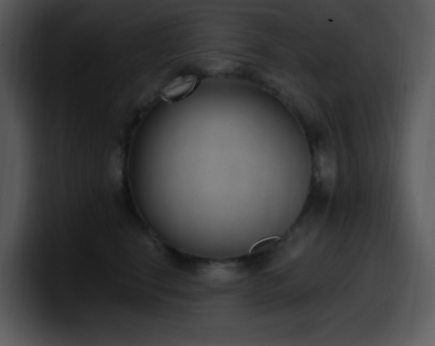 X0000100410664200806061343