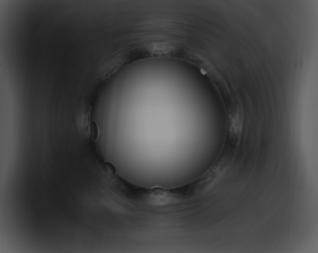 X0000100410666200806061343