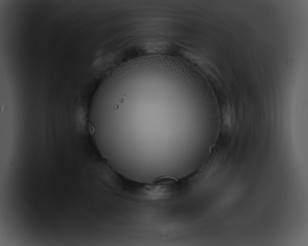 X0000100410667200806061343