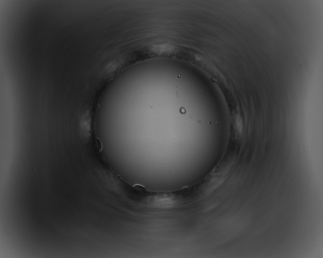 X0000100410668200806061343