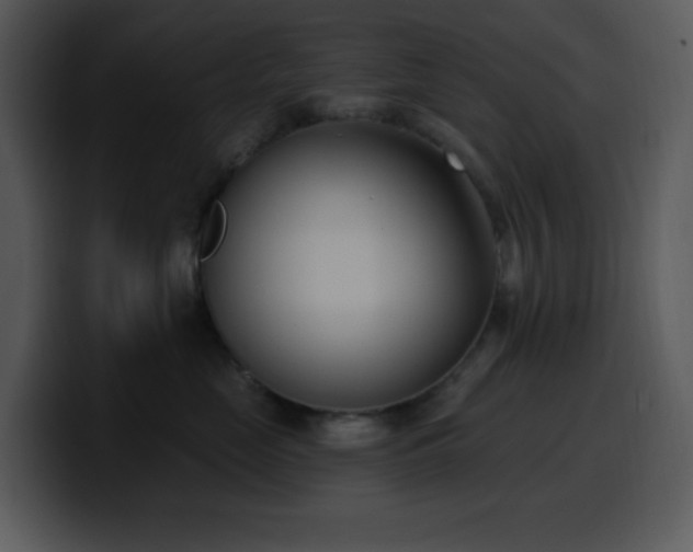 X0000100410669200806061343