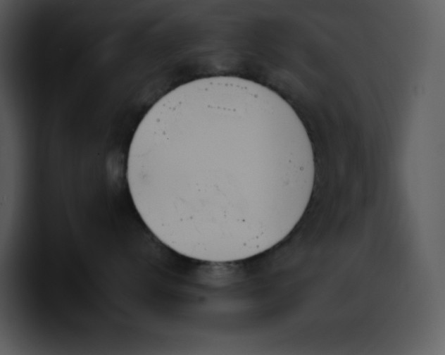 X0000100410672200806061343