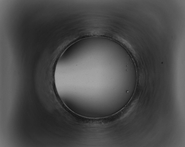 X0000100410673200806061342