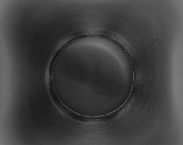 X0000100410674200806061342