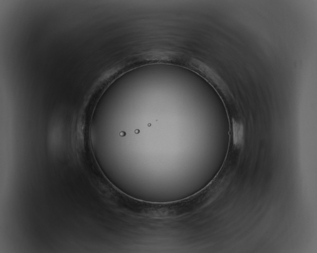 X0000100410675200806061342