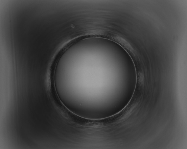 X0000100410676200806061342