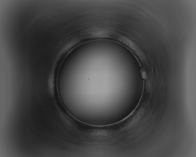 X0000100410677200806061342