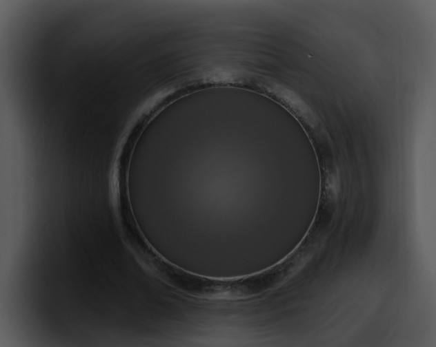 X0000100410678200806061342