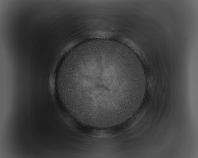 X0000100410679200806061342