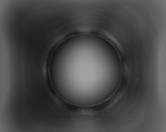 X0000100410681200806061342