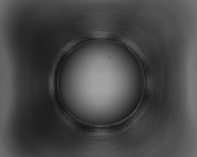 X0000100410682200806061342