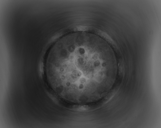 X0000100410683200806061342