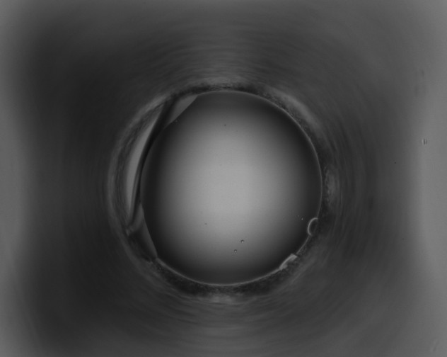 X0000100410684200806061342