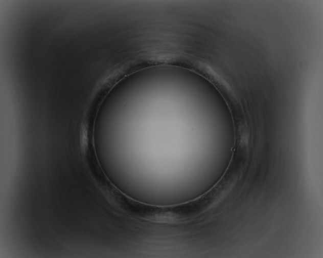 X0000100410685200806061342