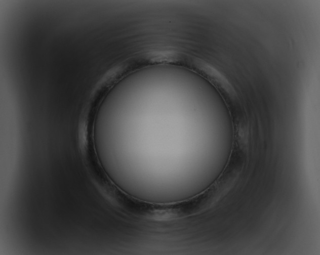 X0000100410686200806061342