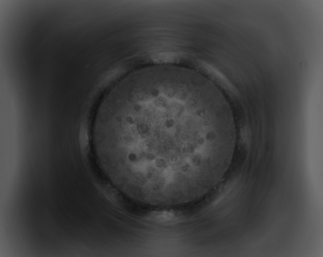 X0000100410687200806061342