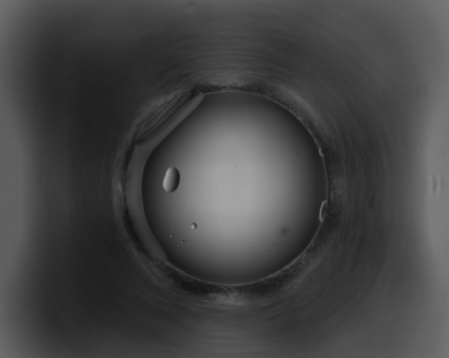 X0000100410688200806061342