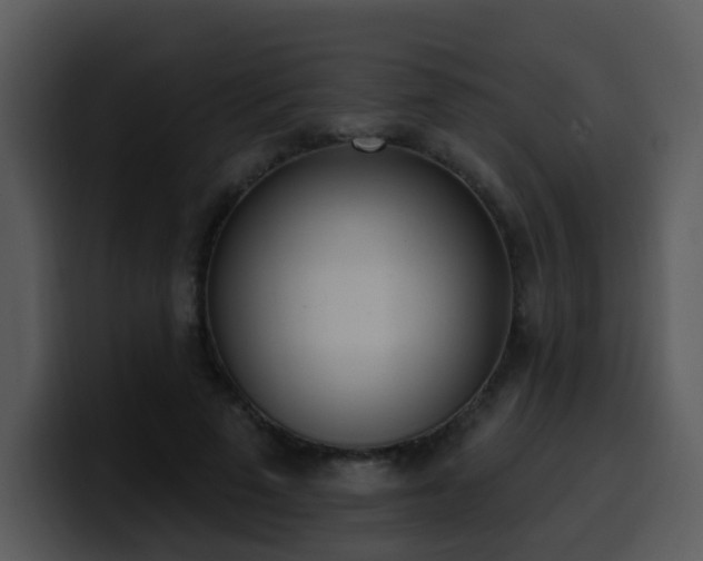 X0000100410689200806061342