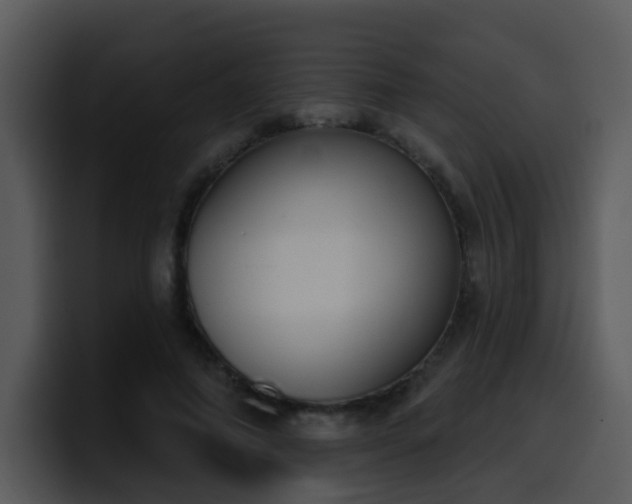 X0000100410690200806061342