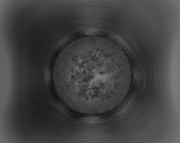 X0000100410691200806061342