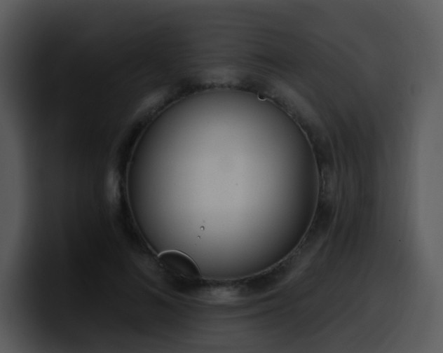 X0000100410692200806061342