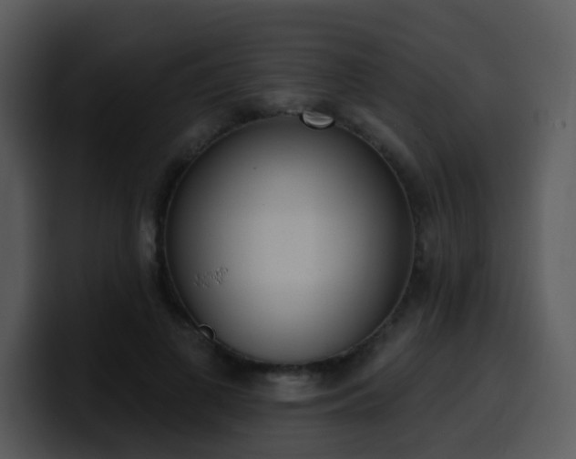 X0000100410693200806061342