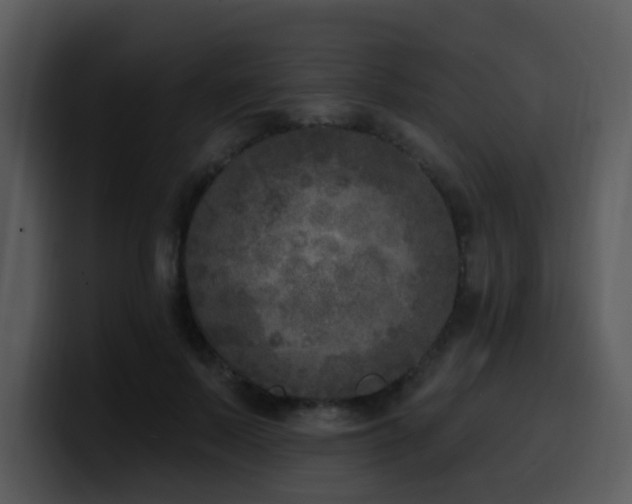 X0000100410695200806061342