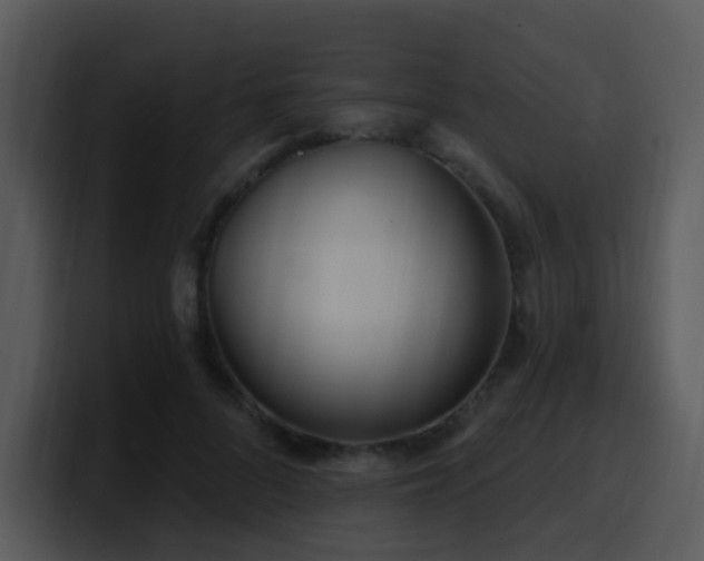 X0000100410696200806061342