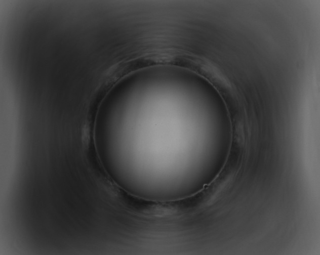 X0000100410697200806061342