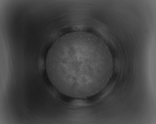 X0000100410699200806061342