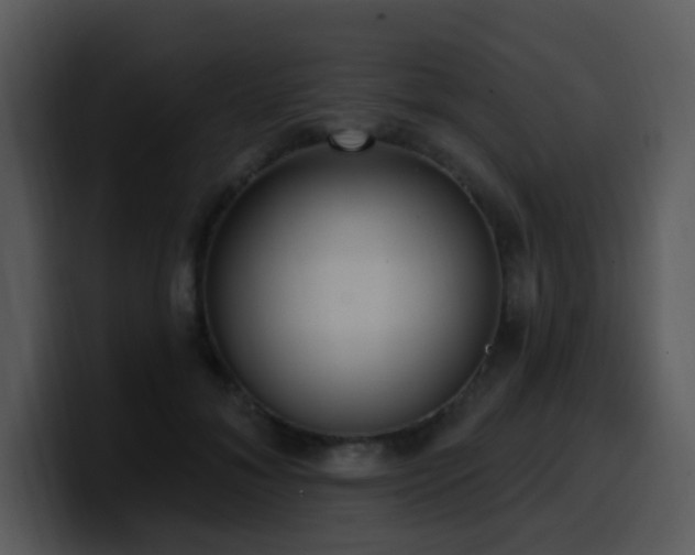 X0000100410700200806061342