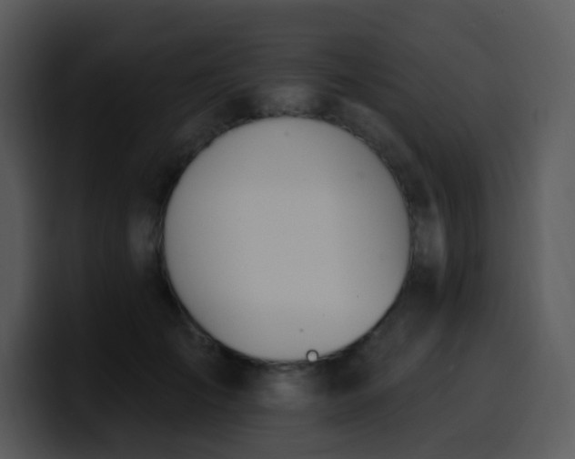 X0000100410701200806061342