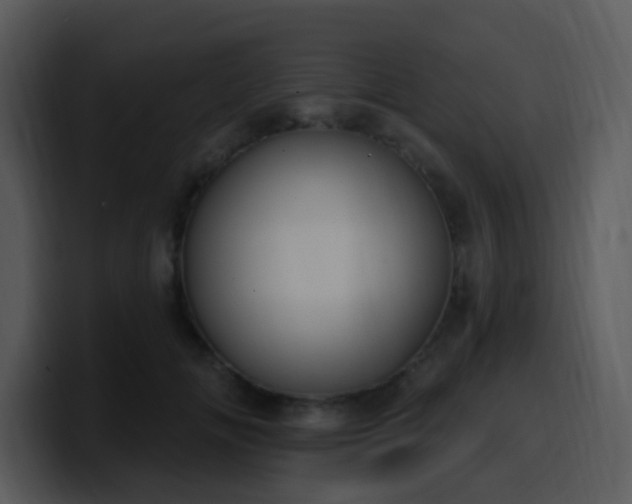 X0000100410702200806061342